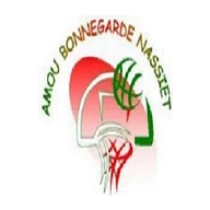 Blason Amou Bonnegarde Nassiet