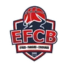 Blason Eyres Fargues Coudures Basket