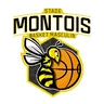 Blason Stade Montois Basket Masculin