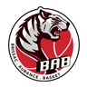 Blason Brissac Aubance Basket — 1